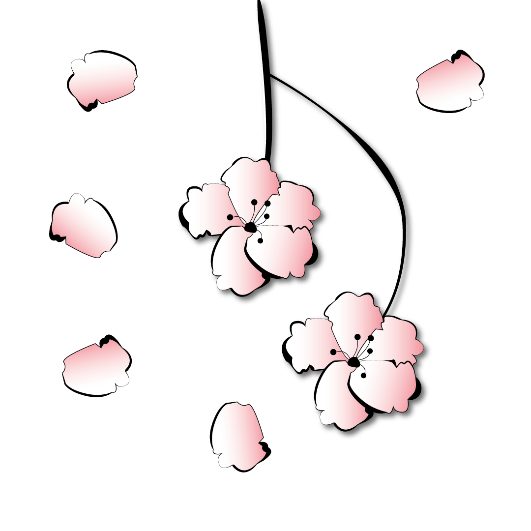 dessin fleurs de cerisiers